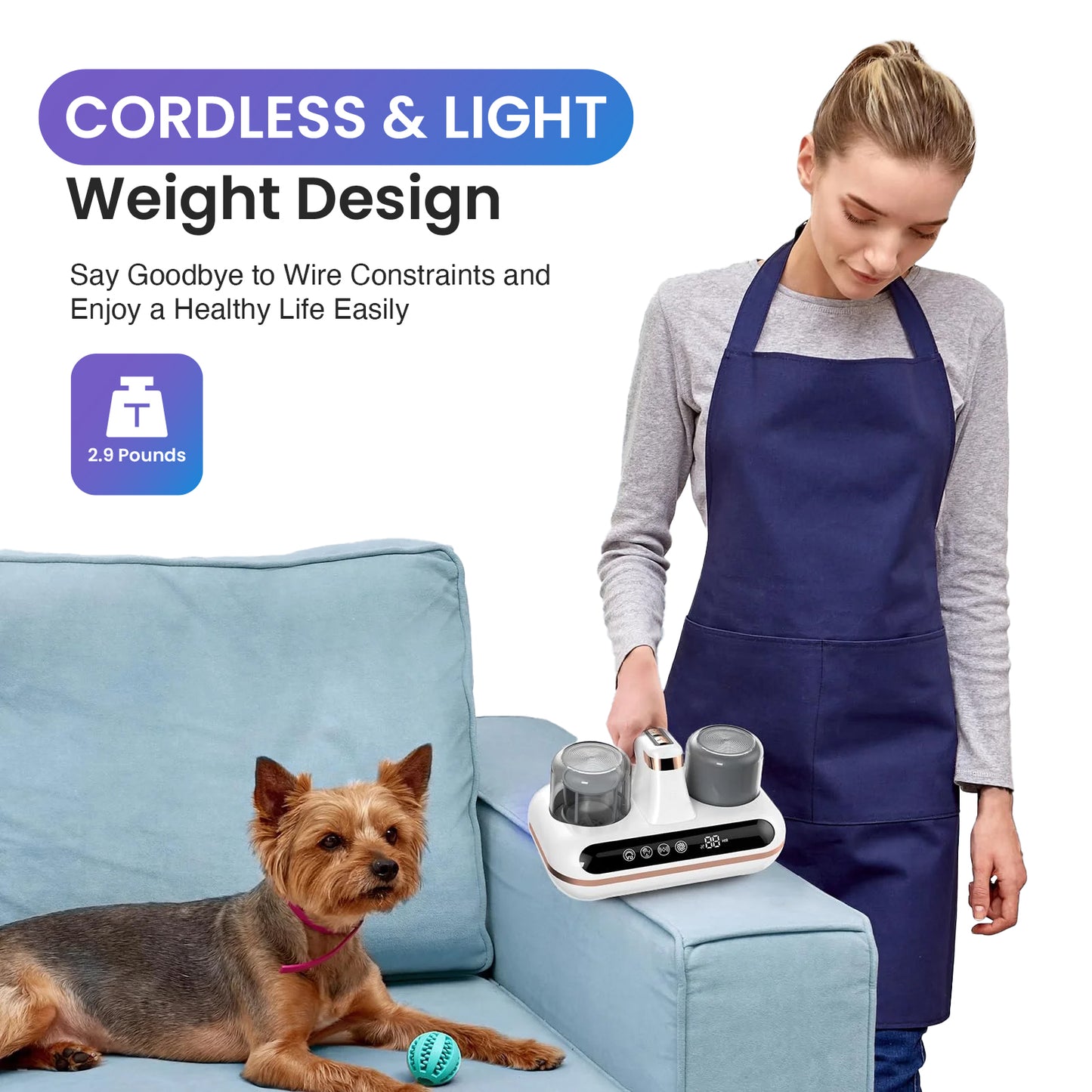 Zentri | Mattress Vacuum Cleaner UV Mite Remover